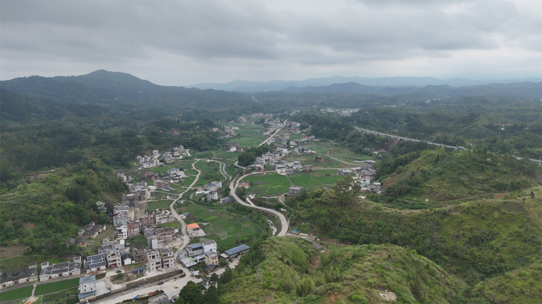 【“百千万工程”省级典型村巡礼】群丰村：积极发展乡村富民产业，扮靓美丽乡村