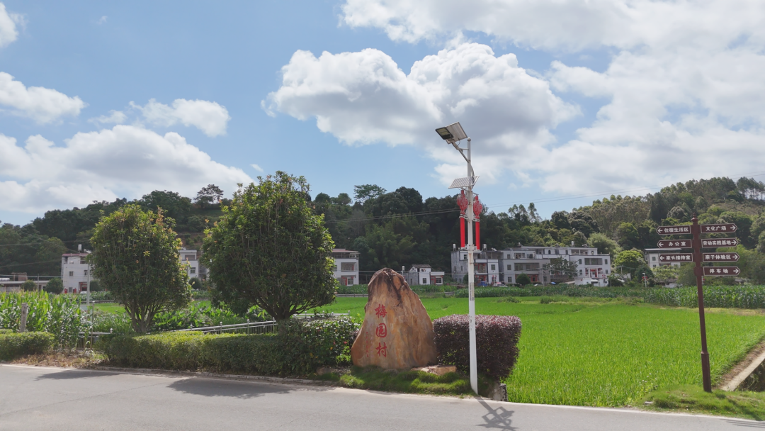【“百千万工程”省级典型村巡礼】梅园村：组织强、产业兴、村庄美、农民富
